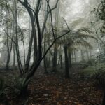 arun-clarke-UDEb05r0Uy8-unsplash